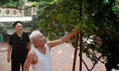 Có một hàn sĩ xứ Thanh - Kỳ cuối: Trứng rồng thì đẻ...