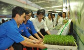 Khởi nghiệp với xơ dừa