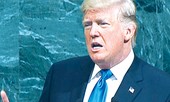 Nhật, Hàn ngỡ ngàng trước tuyên bố của ông Trump