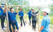 Dấu ấn đồng hành