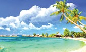 Đặc khu kinh tế: Cần đột phá về mô hình chính quyền