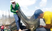Mưu sinh đầu nguồn lũ