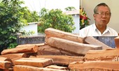 Cựu Chủ tịch UBND tỉnh Gia Lai bị kỷ luật: Mổ xẻ sai phạm