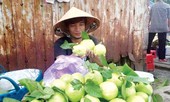 Lệ Rơi chia sẻ tình đời