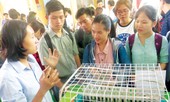 Khởi nghiệp nông nghiệp - nhiều cơ hội cho giới trẻ