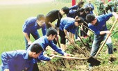 Xứng danh tuổi trẻ Đất Tổ
