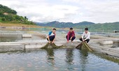 Giúp thanh niên vùng cao khởi nghiệp