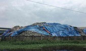 Bộ trưởng TN&MT: Sẽ đình chỉ dự án xử lý rác thải có sai phạm