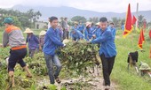 Gần 300 đoàn viên, thanh niên đồng loạt ra quân 'triệt hạ' bèo tây