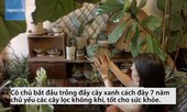 Cô gái trồng 670 cây trong nhà để thanh lọc không khí