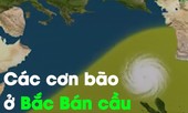 Tại sao các cơn bão xoay ngược chiều kim đồng hồ?
