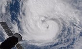 Tin nổi không, lượng mưa từ siêu bão Harvey làm cong vỏ Trái Đất
