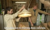 Tự tay trồng nấm làm đồ nội thất gia đình