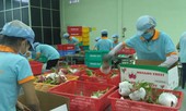 Thanh long Việt Nam đã “bay” sang Úc