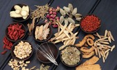 Thuốc đông y có thể gây ung thư do ... chất bảo quản