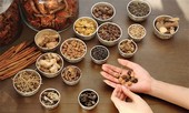 Bộ Y tế sẽ "siết chặt" tiêu chuẩn bài thuốc gia truyền