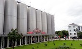 Công ty con của Sabeco thu 1.200 tỷ đồng trong 8 tháng