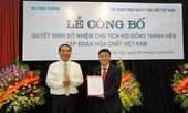 Hàng loạt sai phạm trong bổ nhiệm người nhà của Chủ tịch Vinachem