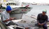 Radio thế giới 24h: Truy tố 19 đối tượng bắt ngư dân Việt làm như nô lệ