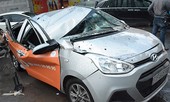 Cổ thụ cao 20m bật gốc, đè bẹp ôtô ở Sài Gòn