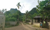Trả lại tiền hỗ trợ trâu chết cho dân