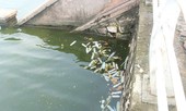 Công an điều tra việc bao cao su nổi trắng góc hồ Tây