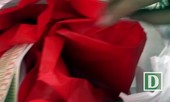 Người dân đổ xô đi mua bánh Trung thu ngày đầu tháng