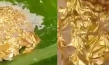 Cỗ cưới xa xỉ tột cùng, cơm bọc vàng 24k