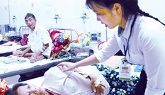 Dĩa cơm trên tường, chuyện kể…