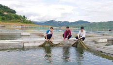 Giúp thanh niên vùng cao khởi nghiệp