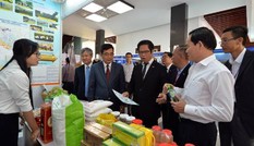 Sức bật từ liên kết vùng