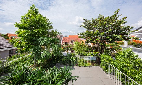 Biệt thự Sài Gòn có cây đua nhau mọc xuyên tầng