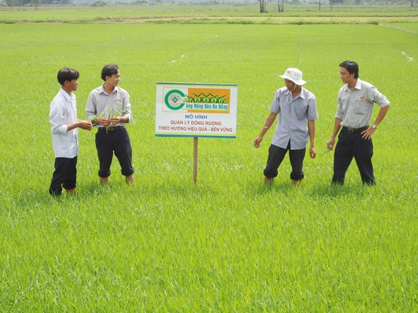 Tổ quốc cần, thanh niên hành động Thanh niên hỗ trợ chuyển giao khoa học kỹ thuật phòng chống sâu bệnh cho nông dân An Giang