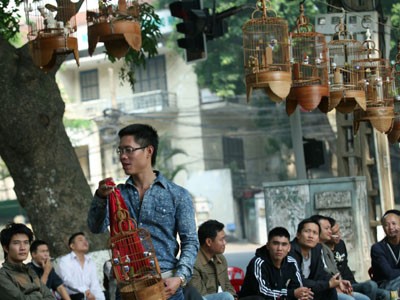 Đi uống café chim Quán cafe chim Hồ Thiền Quang