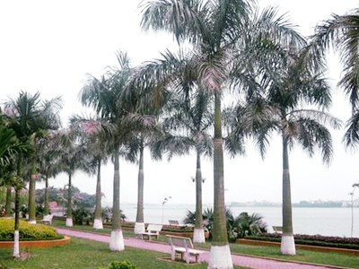 Đường ven hồ Tây Đường ven hồ Tây
