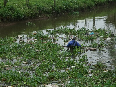 Kênh ‘lợn chết’ đã được dọn sạch Kênh ‘lợn chết’ đã được dọn sạch