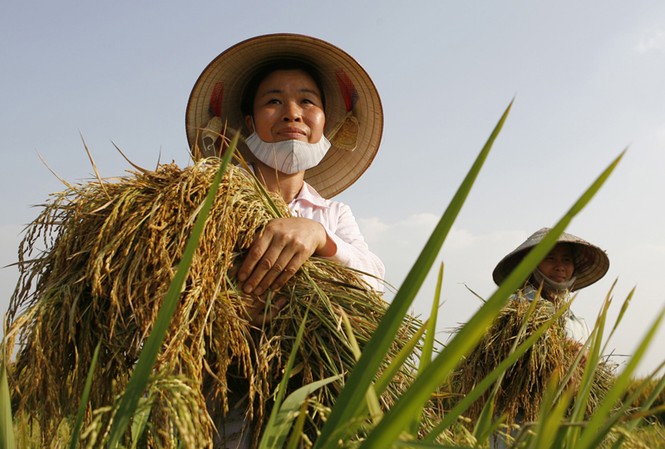 Nông dân đang bị đối xử không công bằng Nông dân được cho là đang chịu thiệt thòi