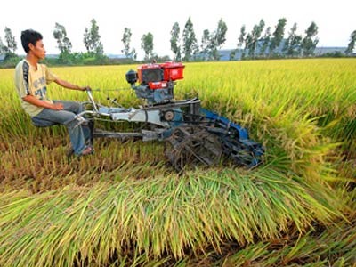 Đầu tư cho tam nông: Chưa hiệu quả, thiếu bền vững Đầu tư cho tam nông: Chưa hiệu quả, thiếu bền vững