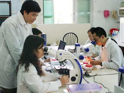 Chương trình tiên tiến đang thụt lùi? Sinh viên trong giờ thí nghiệm tại ĐH Khoa học Tự nhiên - ĐH Quốc gia Hà Nội. Ảnh: Hồ Thu