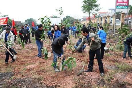 Vườn cây Thanh niên Vườn cây Thanh niên