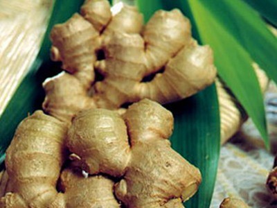 Đầu hè ăn gừng, giảm mệt lợi tiêu hóa Đầu hè ăn gừng, giảm mệt lợi tiêu hóa