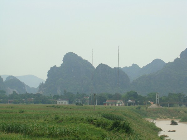 Ly kỳ chuyện lâm tặc trúng cây trăm tỷ Khu vực rộ lên tin đồn lâm tặc trúng cây trăm tỷ