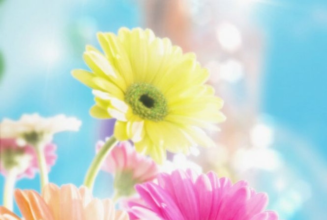 Thứ tư của bạn (18/4) Thứ tư của bạn (18/4)
