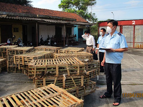 Nguy cơ lây bệnh dại từ mèo Trung Quốc Nguy cơ lây bệnh dại từ mèo Trung Quốc