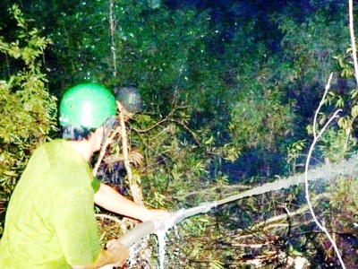 Hơn 35.000 ha rừng tràm U Minh hạ khô hạn Chữa cháy rừng U Minh hạ
Ảnh: tiến hưng