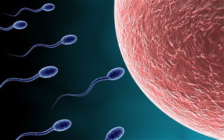 ‘Giống’ bơi nhanh khi có gel bôi trơn? ‘Giống’ bơi nhanh khi có gel bôi trơn?