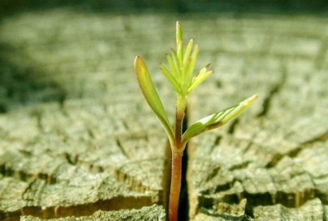 Vào đời bằng xây dựng ước mơ Vào đời bằng xây dựng ước mơ