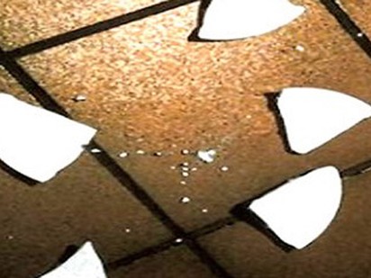 Thầy giáo thể dục 'chỉ đạo' học trò đánh người dã man Thầy giáo thể dục 'chỉ đạo' học trò đánh người dã man