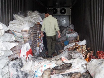 Hơn tám tấn thịt thối trong container đông lạnh Hơn tám tấn thịt thối trong container đông lạnh