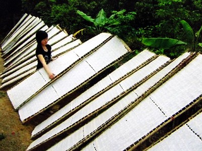 Biến sản phẩm quê thành nổi tiếng Mỳ Chũ Xuân Trường. Ảnh: Phú Gia